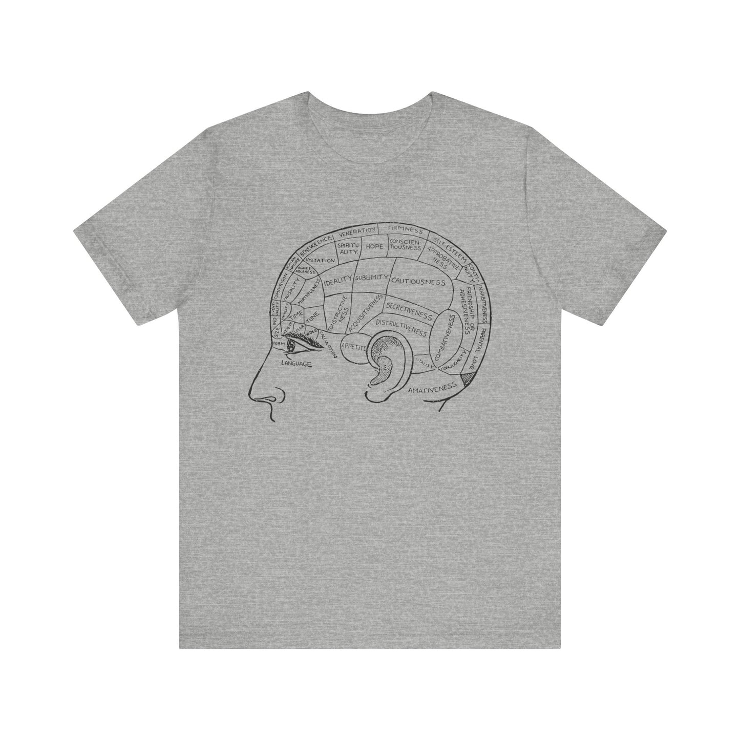 head phrenology